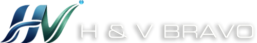 H and V Bravo